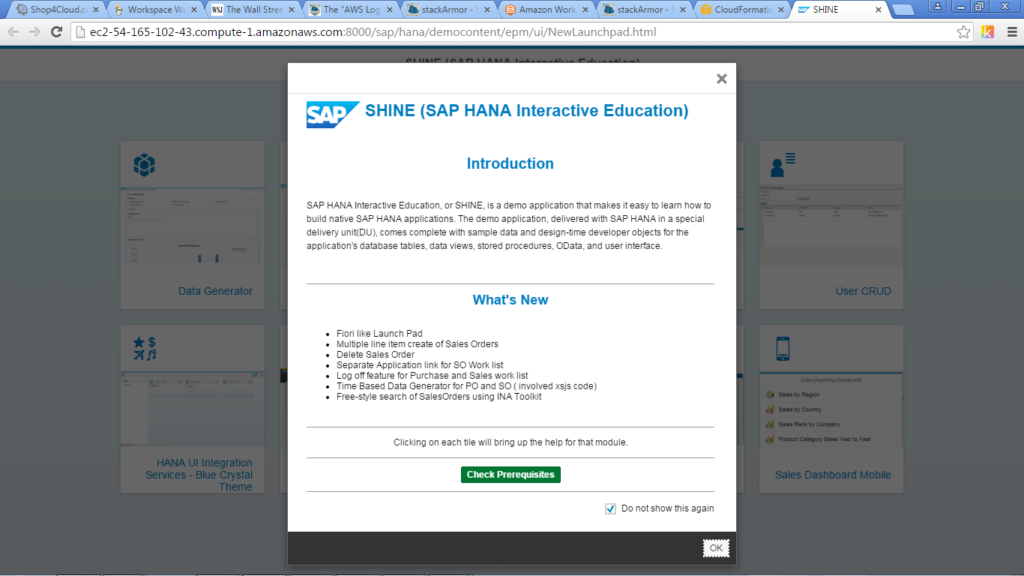 SAP SHINE educational platform introduction screen with navigation options.